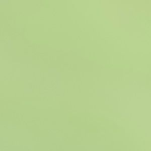 Meet your Posher, Mackenzie